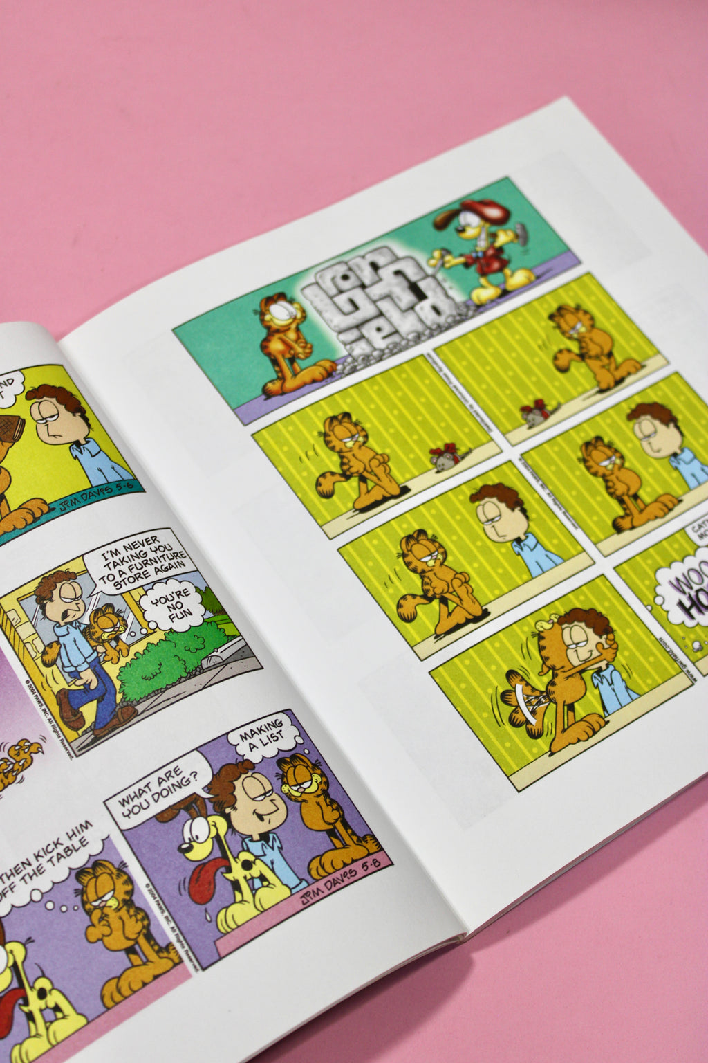 Garfield - libro cómic