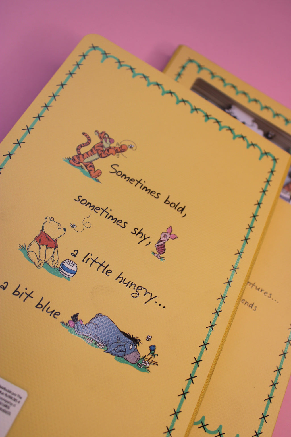Libreta Winnie