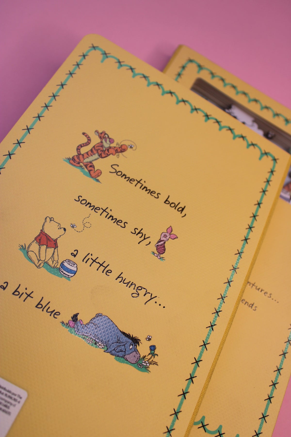 Libreta Winnie