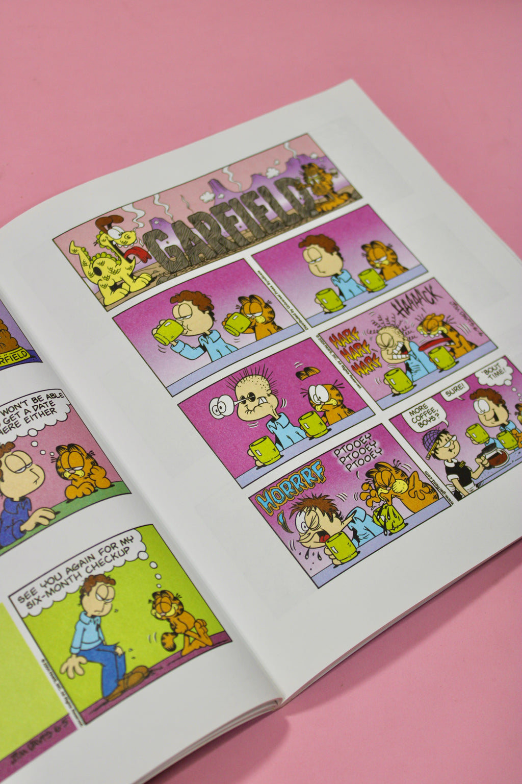 Garfield - libro cómic