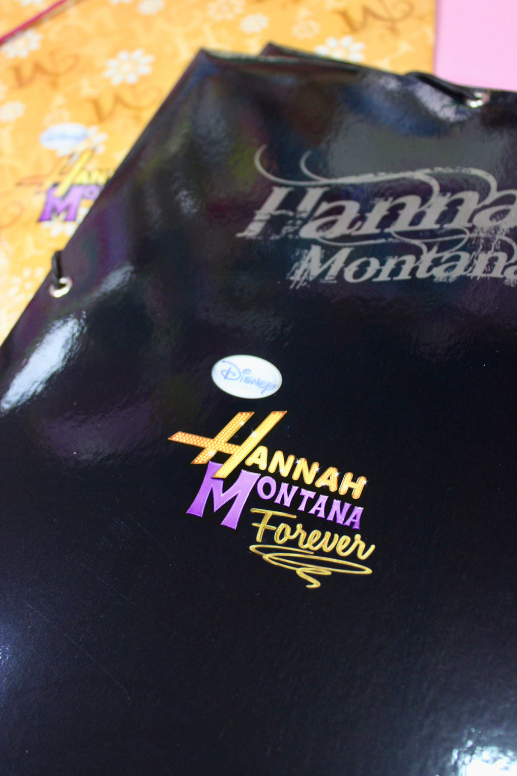 Carpeta Hannah Montana